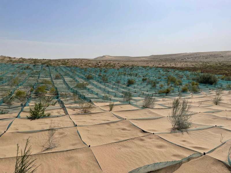 中国沙漠治理 美环保专家竟称沙漠植树弊大于利(图)