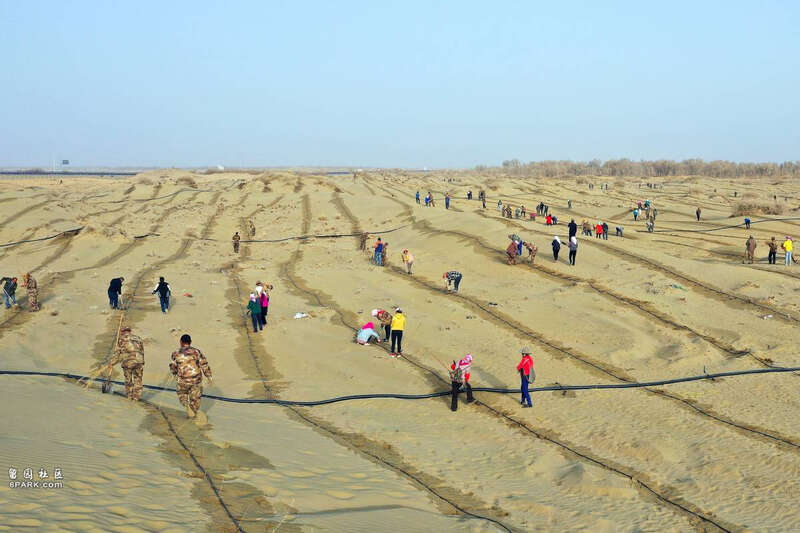 中国沙漠治理 美环保专家竟称沙漠植树弊大于利(图)